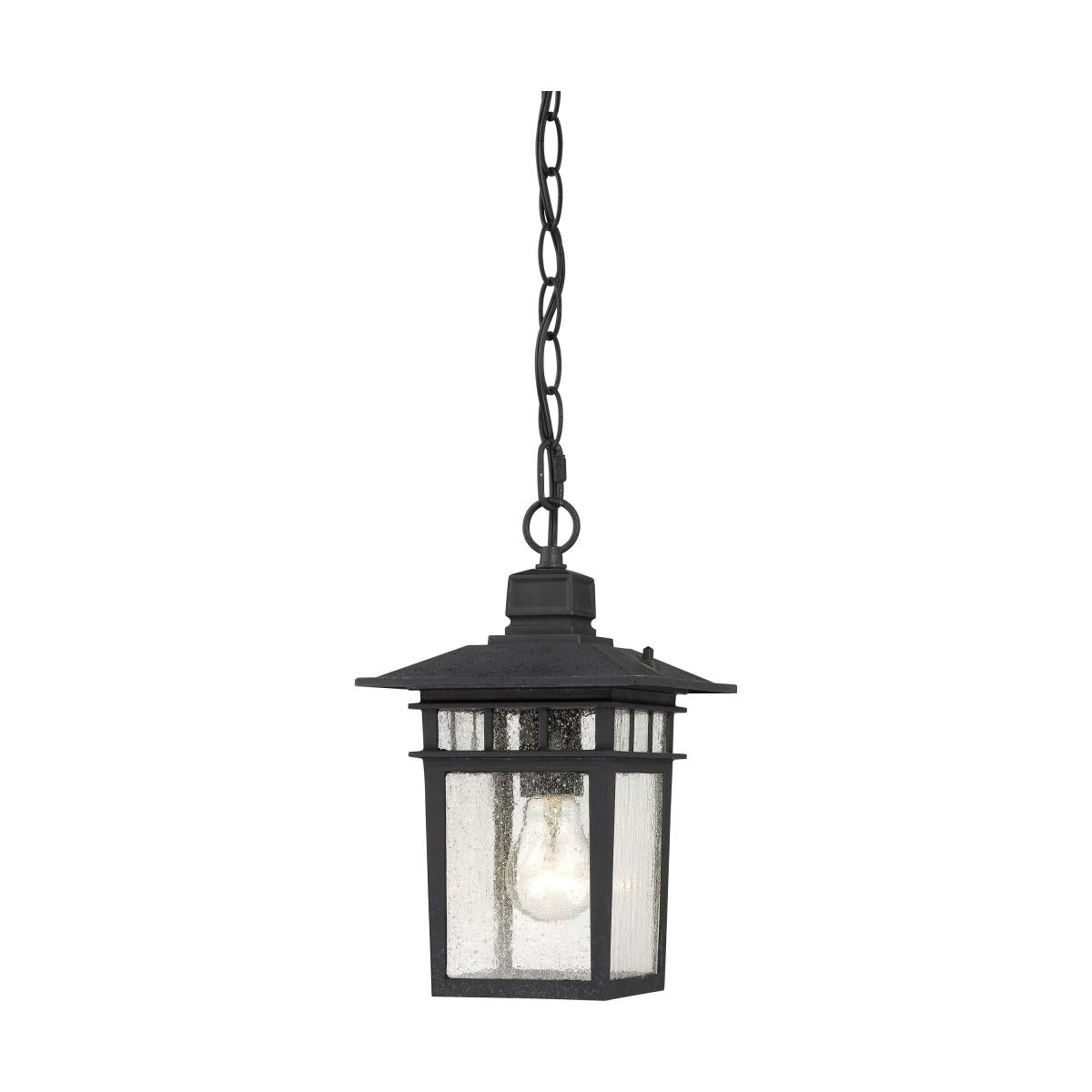 Light Lantern Satco Cove Neck Hanging with Clear Seed Glass Black Finish